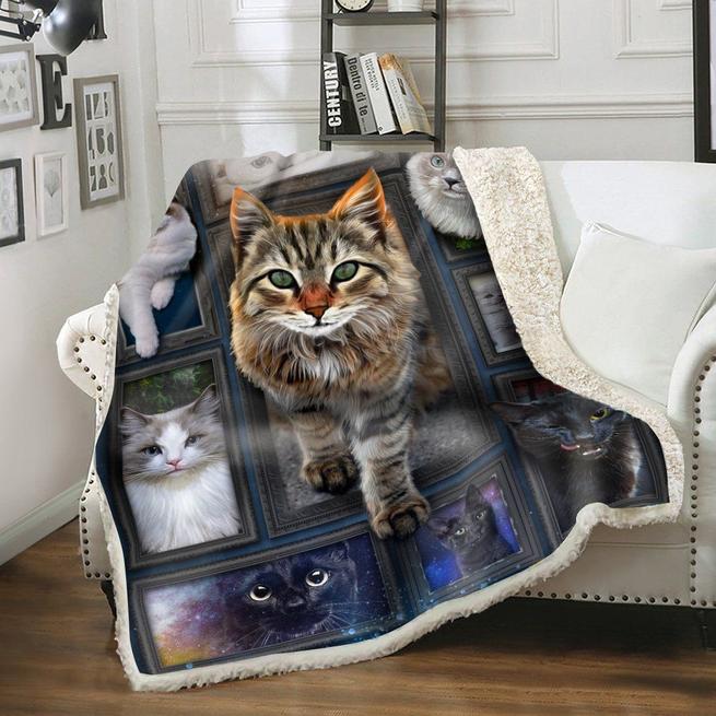 Eviral Store 3D HUGE CAT BLANKET 9 2703 Over Print Plus Size – Eviral Store