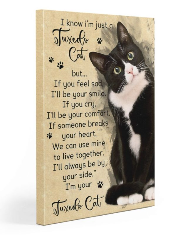 I know i'm just a Tuxedo Cat Canvas, Poster Art - Eviral Store